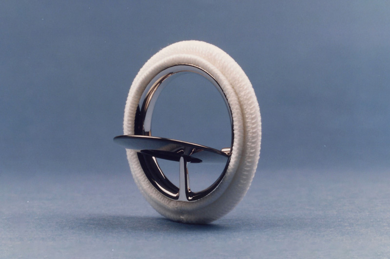 Bicer Valve Mechanical Heart Valver